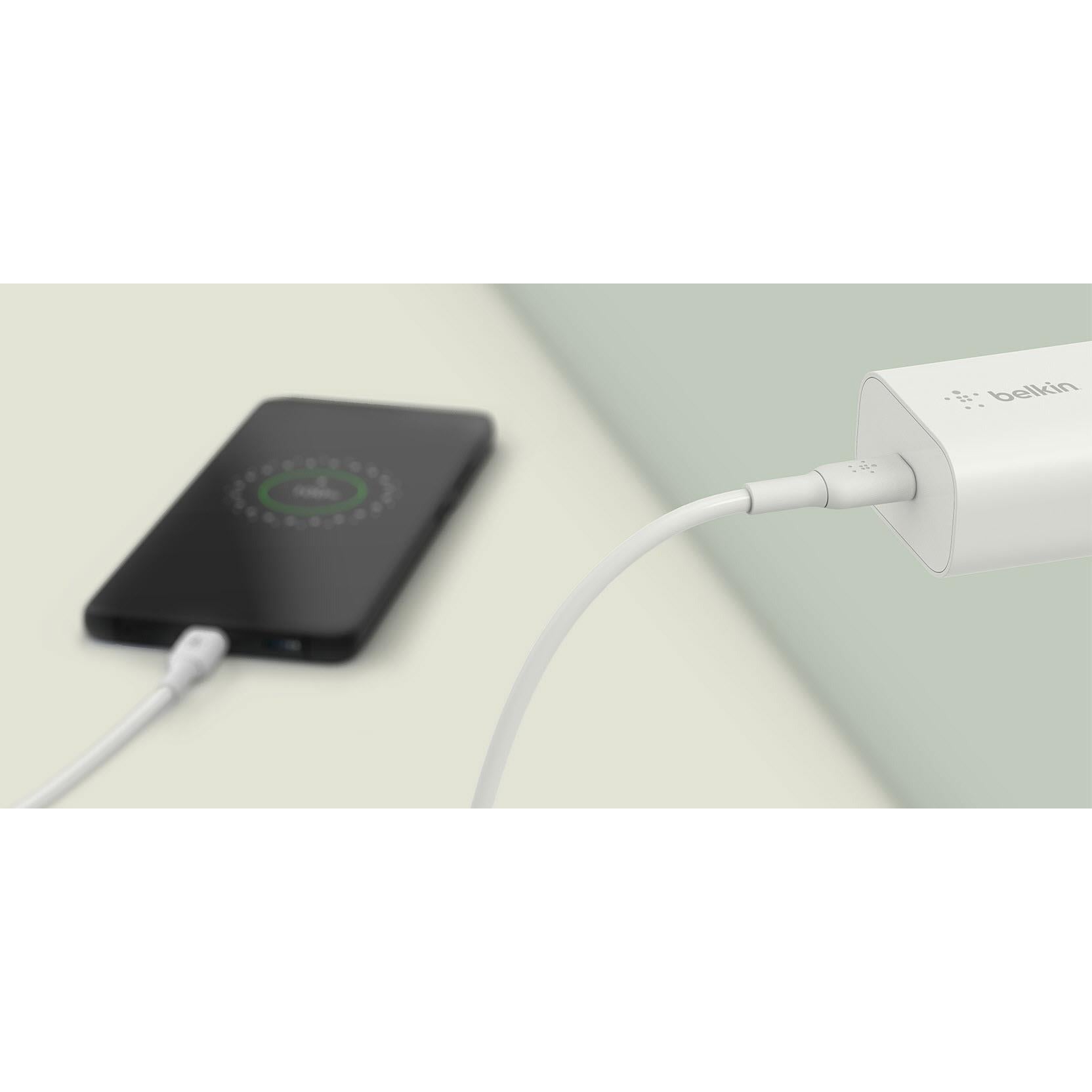 Belkin BoostUp Charge 25W Wall Charger with USB-C Cable